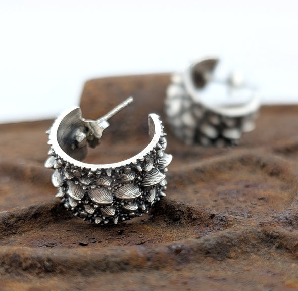 Gator Hoops in Silver