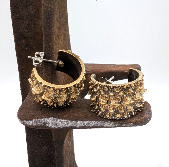 Gator Hoops in Warm Brass